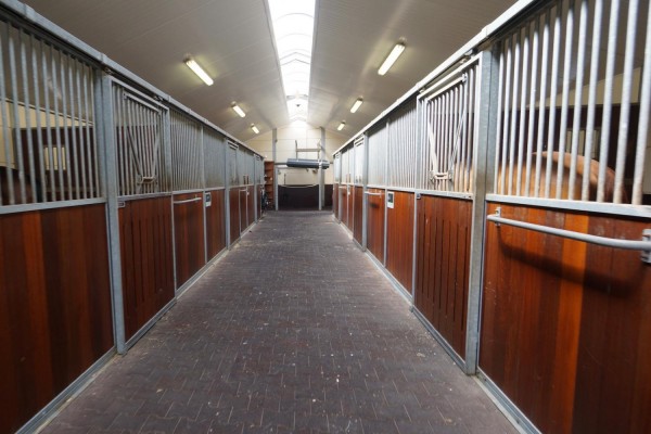 Estate with professional horse accommodation