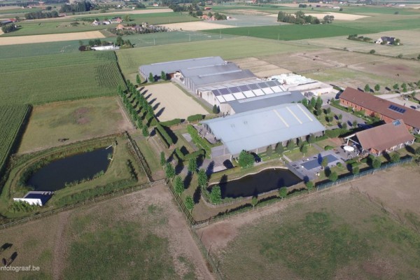 Exclusive 7 ha equestrian center in Poperinge/Heuvelland
